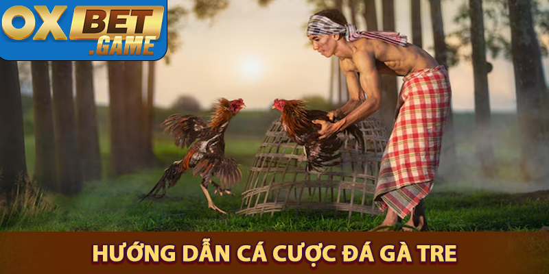 Hướng dẫn cá cược gà tre 