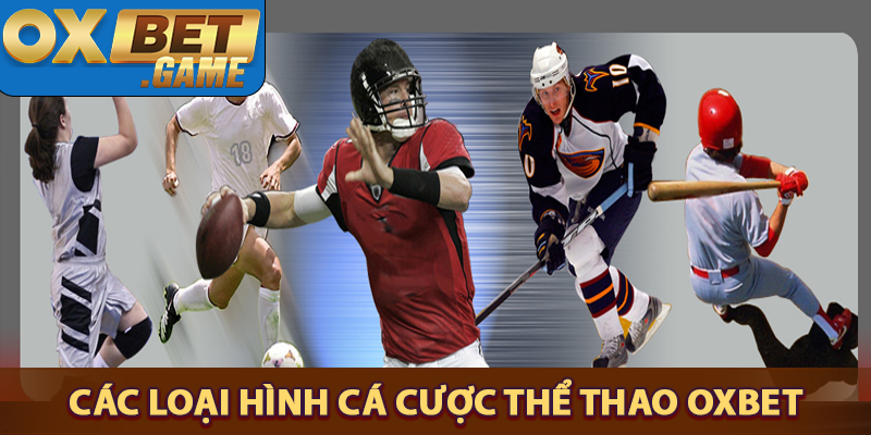 Các loại hình cá cược thể thao OXBET phổ biến